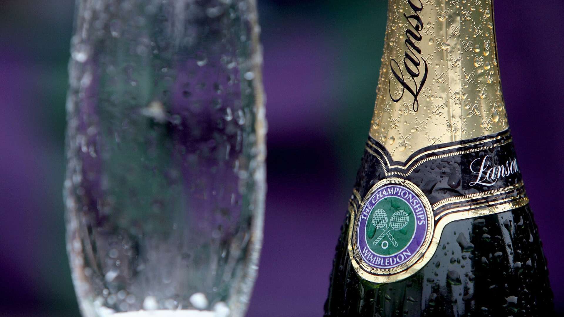 曼聯經紀公 曼聯經紀公