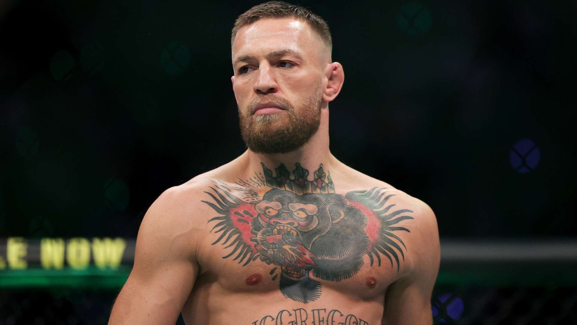 失误与冠军 失误与冠军